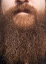 Close up of a face with thick beard